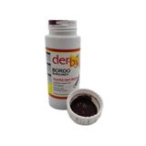 SRTfootcare Derby Mont Direksiyon Koltuk Deri Boyası 100ml (Bordo)