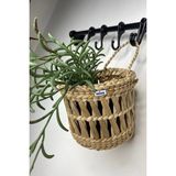 Ss Eral Koop Dekoratif Çok Amaçlı Doğal El Yapımı Hasır Saksı Sepet / 10X10CM - 10 x 10 cm - Krem