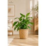 SS ERAL KOOP Dekoratif Merdiven Desen El Örgüsü Hasır Saksı Kılıfı Salon Balkon Mutfak 26 x 28 cm