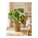 SS ERAL KOOP El Örmesi Baklava Kesim Hasır Saksı Büyük Salon Bitki Sepeti 30x28 cm
