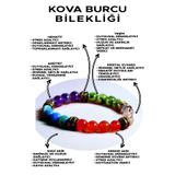 Ssilhoutte Doğaltaş Kova Burcu Doğal Taş Bileklik - Hematit - Yeşim - Ametist - Kristal Kuvars - Mavi Akik