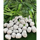St. Morritz Benekli Taş 5 kg 2-4 cm Siyah Beyaz Benekli Taş Granit Dolomit Taş Dekoratif Taş Bahçe Dekor Taşı