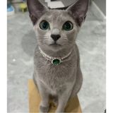 St. Morritz Kedi Zümrüt Yesil Inci Tasma Kolye