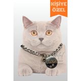 St. Morritz Künyeli Kedi & Köpek Kolyesi (Paslanmaz Çelik Tasma)