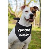 St. Morritz Neşeli Yazı Baskılı Köpek Fular Bandana