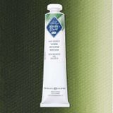 St.Petersburg Master Class 46 ml S:1 Sap Green 716 Yağlı Boya