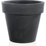 Standart One 50 Plastik Saksı Kapuçino - - - --