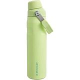 Stanley 10-12515-006 The Aerolight Iceflow 0.6 lt Açık Yeşil Soğuk Su Termosu