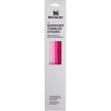 Stanley 40 oz için Quencher Bardak Pipetleri | Saplı Bardak için Yeniden Kullanılabilir Yedek Pipetler | Paslanmaz Çelik İçecek Bardağı Aksesuarı | BPA içermez | Pembe Çoklu Paket