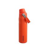 Stanley The Aerolight Iceflow Fast Flow 0.6 lt Tigerlily Su Matarası