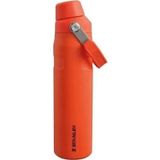 Stanley The Aerolight Iceflow Turuncu 600 ml Paslanmaz Çelik Soğuk Su Termosu