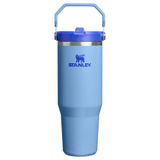 Stanley The IceFlow Flip Straw Gökyüzü Mavisi 0.89 lt Pipetli Termos