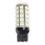 Starklips Dipsiz Ampul Tek Duy 19LED Japon Büyük Can Bus Beyaz 2 Adet