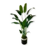 Starliçe 24 Yaprak 190 Cm Yapay Ağaç 30x30 Gümüş Kemerli Saksı