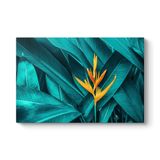 Starliçe Cennet Çiçeği Tablosu 100 x 70