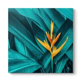 Starliçe Cennet Çiçeği Tablosu 30 x 30