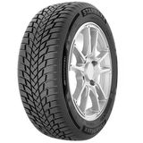 Starmaxx Polarmaxx M+S-Sf 195/55 R15 85H Kış Lastiği - 2023