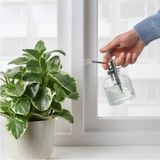 Starseven Bitki Sulama Şişesi 25 cl 16 cm Sulama Sprey Şişesi Saksı Çiçek Bitki Bahçe Cam Sulama Kabı Şi