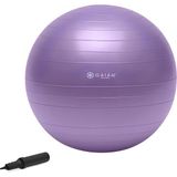 Starseven Gaiam Jimnastik Toplarımız Total Body Balance Ball Kiti 55 cm