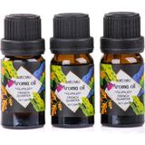 Starseven Mukko 3’lü Esansiyel Uçucu 3X10ML Frenc Quarter Buhurdanlık Yağı Set, Difüzör, Oda Kokusu