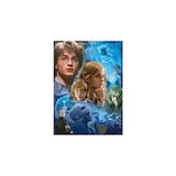 Starseven Ravensburger 500 Parçalı Puzzle Harry Potter