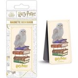 Starseven Warner Bros Harry Potter Hedwig Kitap - (Manyetik Kitap Marasi)