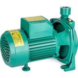 Staxx Power CPM158 1 Hp Su Pompası Santrifüj Pompa 30MSS 80 lt/dk