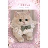 STEELVA İncili Papyonlu Kedi Kıyafeti Yeşil ( boyunluk )