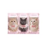 STEELVA Pembe Rengi İncili Papyonlu Kedi Kıyafeti (boyunluk)