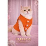 STEELVA Turuncu Peluş Polar Kedi & Köpek Yeleği Pet Kıyafeti