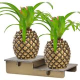 Stein Kohle Ayaklı Saksı Ahşap Büyük Boy 2 Adet Altın Renk Eskitme Uygulamalı Ananas Model - Renkli