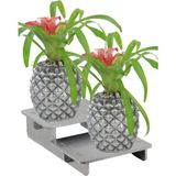 Stein Kohle Ayaklı Saksı Ahşap Büyük Boy 2 Adet Gümüş Renk Eskitme Uygulamalı Ananas Model - Krem Rengi