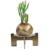 Stein Kohle Ayaklı Saksı Ahşap Dekoratif Kaktüs Saksısı 1 Adet Altın Renk Eskitme Uygulamalı Spiral Oval Model - Gümüş