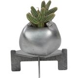 Stein Kohle Ayaklı Saksı Ahşap Dekoratif Kaktüs Saksısı 1 Adet Gümüş Renk Eskitme Uygulamalı Spiral Oval Model - Renkli