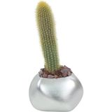 Stein Kohle Çiçek Saksısı Büyük Boy 1 Adet Gümüş Renk Uygulamalı Spiral Oval Model