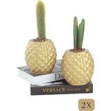 Stein Kohle Çiçek Saksısı Büyük Boy 2 Adet Altın Renk Uygulamalı Ananas Model