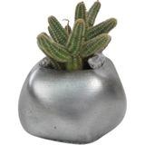 Stein Kohle Çiçek Saksısı Dekoratif Kaktüs Saksı 1 Adet Gümüş Renk Eskitme Uygulamalı Spiral Oval Model - Renkli