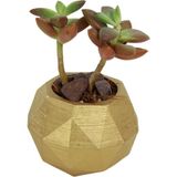 Stein Kohle Dekoratif Saksı Minik Kaktüs Saksısı Dönen Poly Model - Altın - Tekli