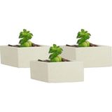 Stein Kohle Dekoratif Saksı Minik Kaktüs Saksısı Dörtgen Model - 3'Lü Set - Beyaz
