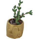Stein Kohle Dekoratif Saksı Minik Kaktüs Saksısı Kaktüs Desenli Model - Tekli - Altın