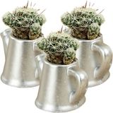 Stein Kohle Dekoratif Saksı Minik Kaktüs Saksısı Mini Çaydanlık - 3'lü SET - Gümüş