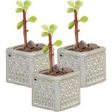 Stein Kohle Dekoratif Saksı Minik Kaktüs Saksısı Mini Kare Model - 3'Lü Set - Gümüş