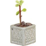 Stein Kohle Dekoratif Saksı Minik Kaktüs Saksısı Mini Kare Model - Tekli - Gümüş