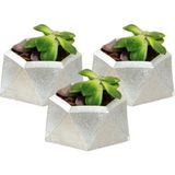 Stein Kohle Dekoratif Saksı Minik Kaktüs Saksısı Mini Poly 2 Model - 3'Lü Set - Gümüş
