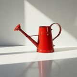 Stella 3 Litre Metal Çiçek Bahçe Sulama Kabı Kırmızı - Modern Dekoratif Çok Amaçlı Sulak