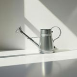 Stella 3 Litre Metal Çiçek Bahçe Sulama Kabı – Modern Dekoratif Çok Amaçlı Sulak (Galvaniz)