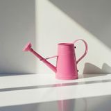 Stella 3 Litre Metal Çiçek Bahçe Sulama Kabı Pembe - Modern Dekoratif Çok Amaçlı Sulak