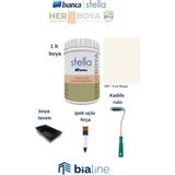 Stella Boya Seti (Bianca Stella Boya- Ipek Fırça- Kadife Rulo- Boya Kabı) – Kırık Beyaz - 1 Lt
