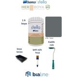 Stella Boya Seti (Bianca Stella Boya- Ipek Fırça- Kadife Rulo- Boya Kabı) – Tortum - 1 Lt