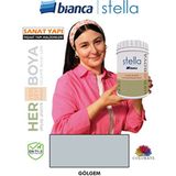 Stella Su Bazlı Boya Fayans-Mermer-Tezgah-Kapı-Dolap-Iç Cephe-Dönüşüm-Mutfak-Banyo-Plastik-Ahşap - Gölgem